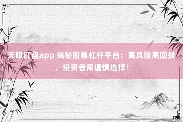 天眼盯盘app 揭秘股票杠杆平台:高风险高回报,投资者需谨慎选择!