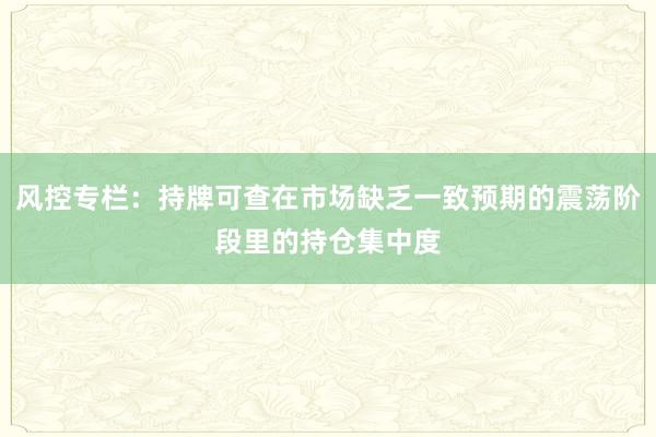 风控专栏：持牌可查在市场缺乏一致预期的震荡阶段里的持仓集中度