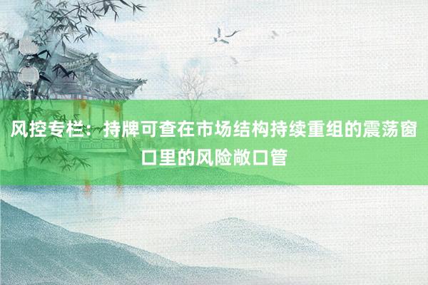 风控专栏:持牌可查在市场结构持续重组的震荡窗口里的风险敞口管