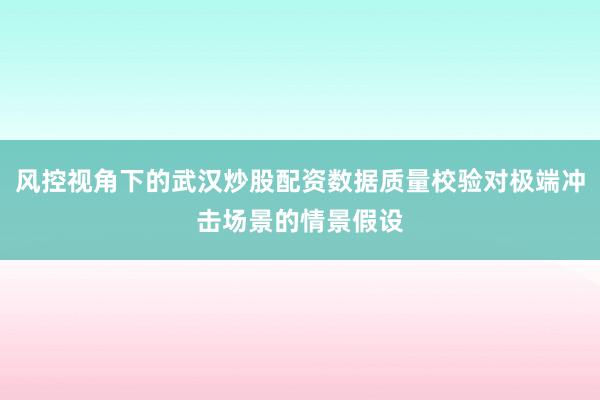风控视角下的武汉炒股配资数据质量校验对极端冲击场景的情景假设