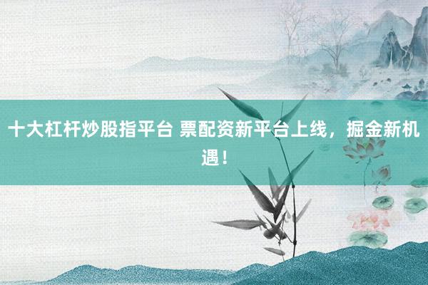 十大杠杆炒股指平台 票配资新平台上线，掘金新机遇！