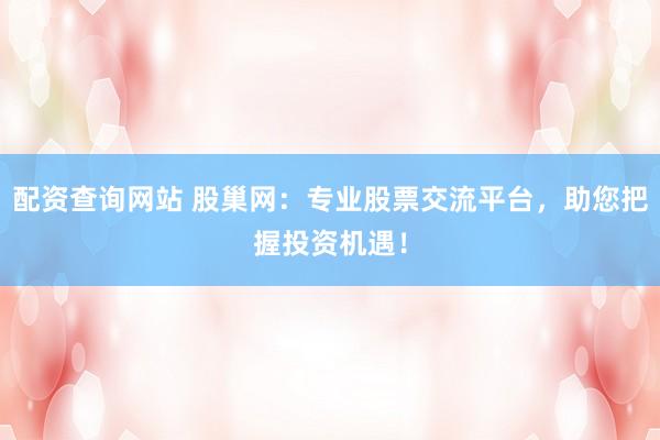 配资查询网站 股巢网：专业股票交流平台，助您把握投资机遇！