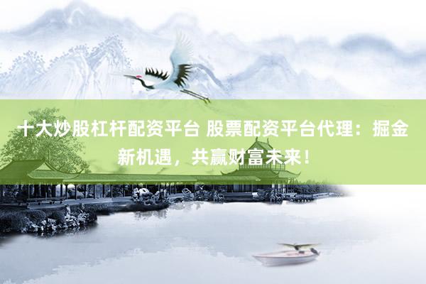 十大炒股杠杆配资平台 股票配资平台代理:掘金新机遇,共赢财富未来!