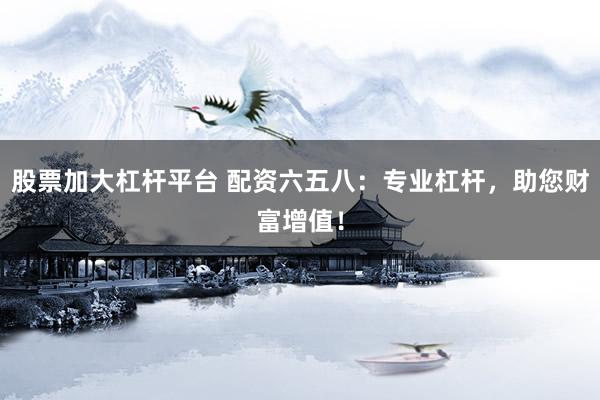 股票加大杠杆平台 配资六五八：专业杠杆，助您财富增值！
