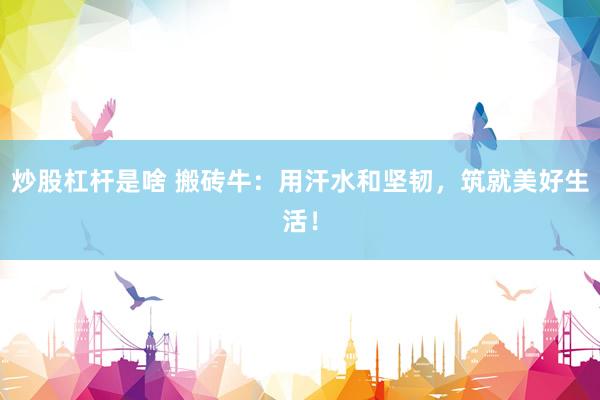 炒股杠杆是啥 搬砖牛：用汗水和坚韧，筑就美好生活！