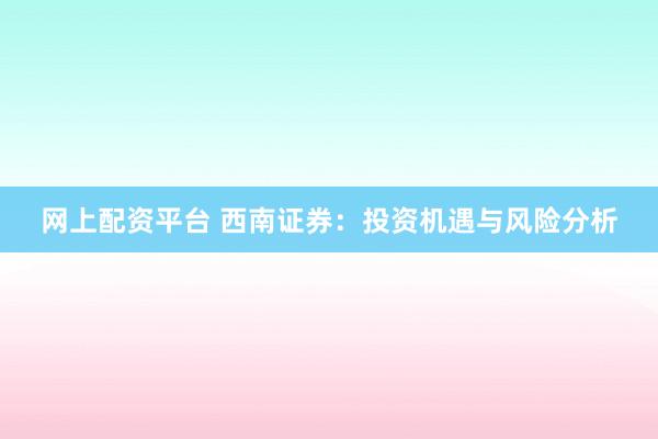 网上配资平台 西南证券：投资机遇与风险分析